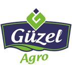 GÜZEL GIDA MAD İTH. İHR. SAN. VE TİC. LTD. ŞTİ.