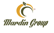 Mardin Group