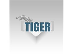 Tiger Competent Company