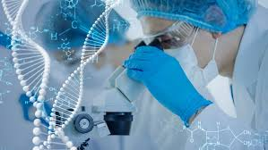 🏥 Iraq Public Tender – Construction of Genetic Blood Diseases Center in Babil