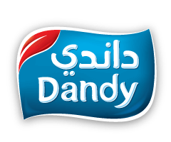 M S DANDY COMPANY LTD