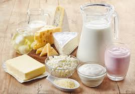 🥛 Iraq – GCFP (General Food Products Company) Joint Investment for New Dairy Products Factory in Mosul (15/2025)