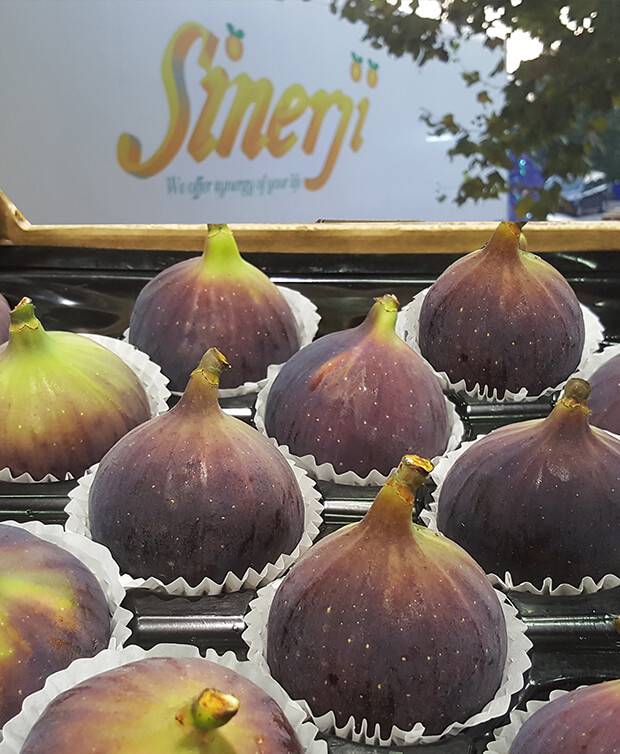 مجموعة الفاكهة
