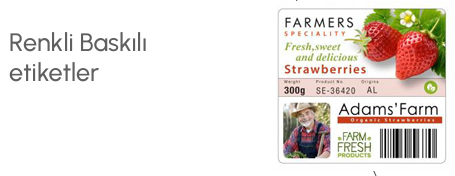 Colorful Printed Labels