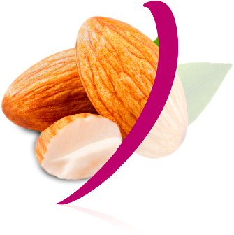 ALMOND