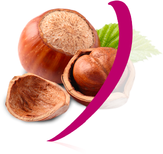 HAZELNUT