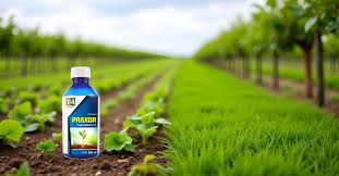 🌿 Iraq – North Oil Company (NOC) – Titan SL Herbicide Supply Tender (L.1.25.7063.01)