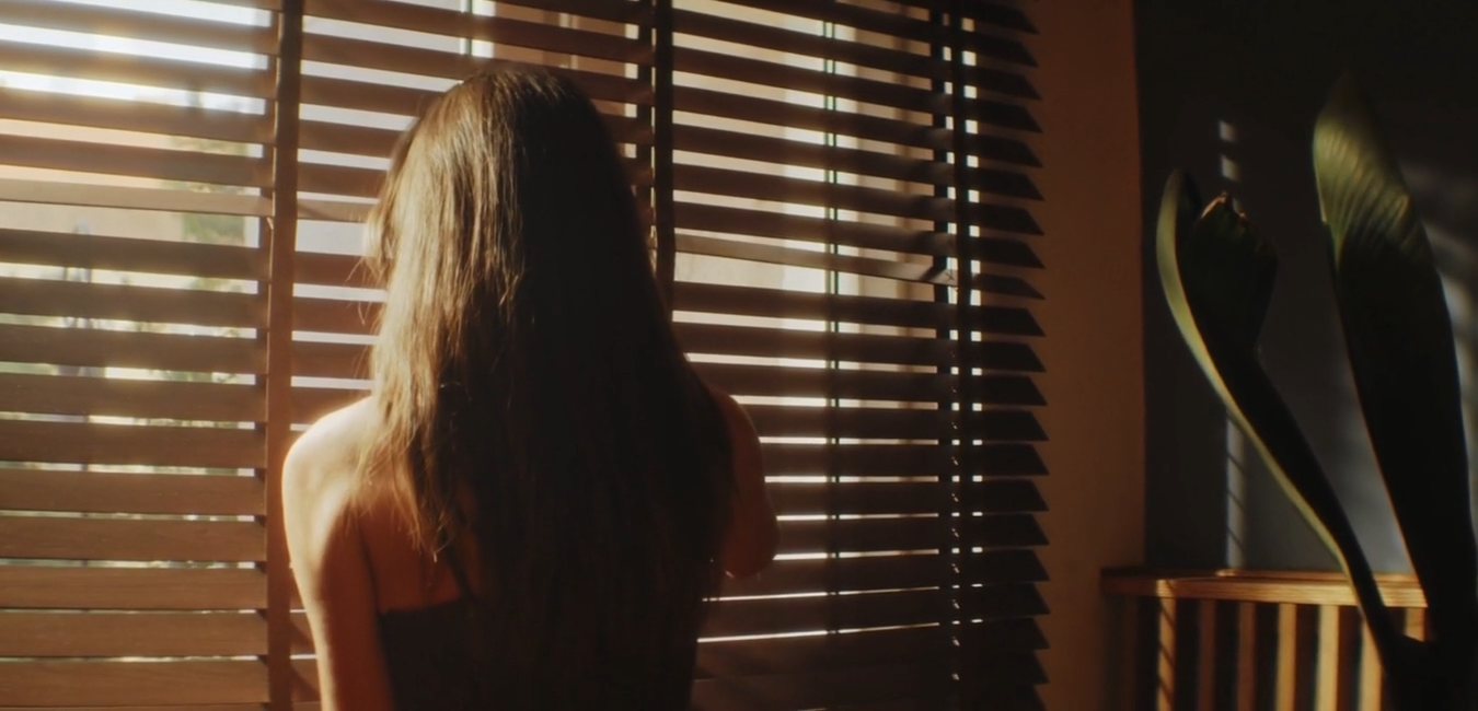 Wooden Venetian Blind