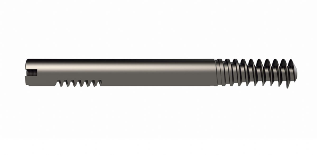 Intramedullary Nail Screws