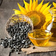 🌻 50,000 MT Sunflower Seed Purchase Request – Long-Term Business Cooperation Opportunity