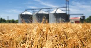 🏗️ Syria – General Organization for Grain Trade & Processing (Latakia Branch) – Jableh Silo Hydraulic Elevator Repair and Commissioning Tender (Tender No: 144189)