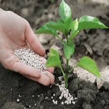 🧪 Syria – General Fertilizers Company – Sale of Urea-Based Fertilizer Waste (Auction)