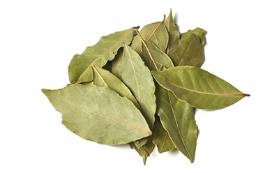 Bay Leaf