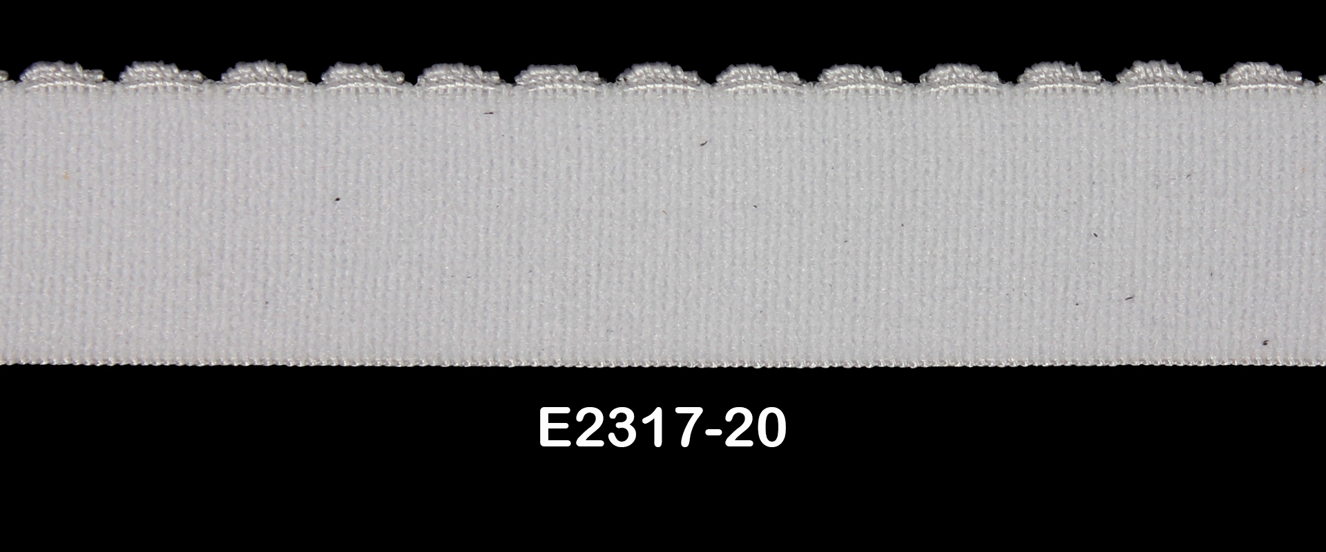 E2317-20