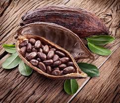 cocoa beans
