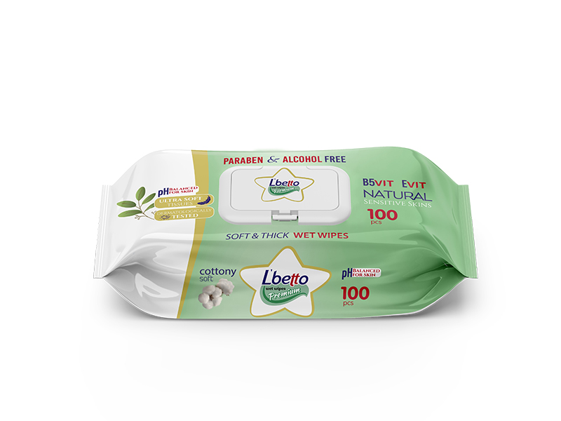 Wet Wipes - Pack of 100