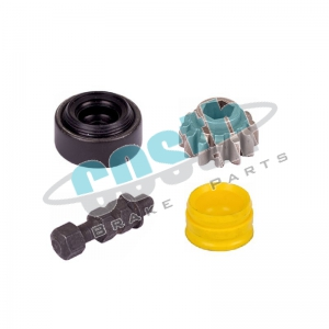 Caliper Plug Repair Kit