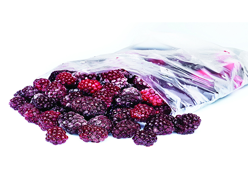 Refrigerator Bags