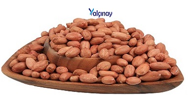 Shelled Peanuts