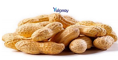 Peanuts with Shell