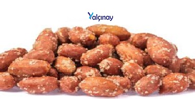 Roasted Peanuts