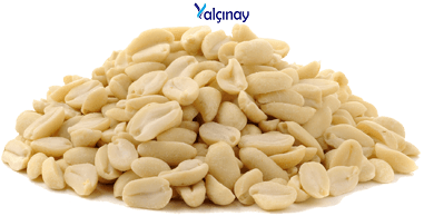 Peeled Peanuts