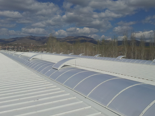 Roof Lights