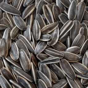 Nuts