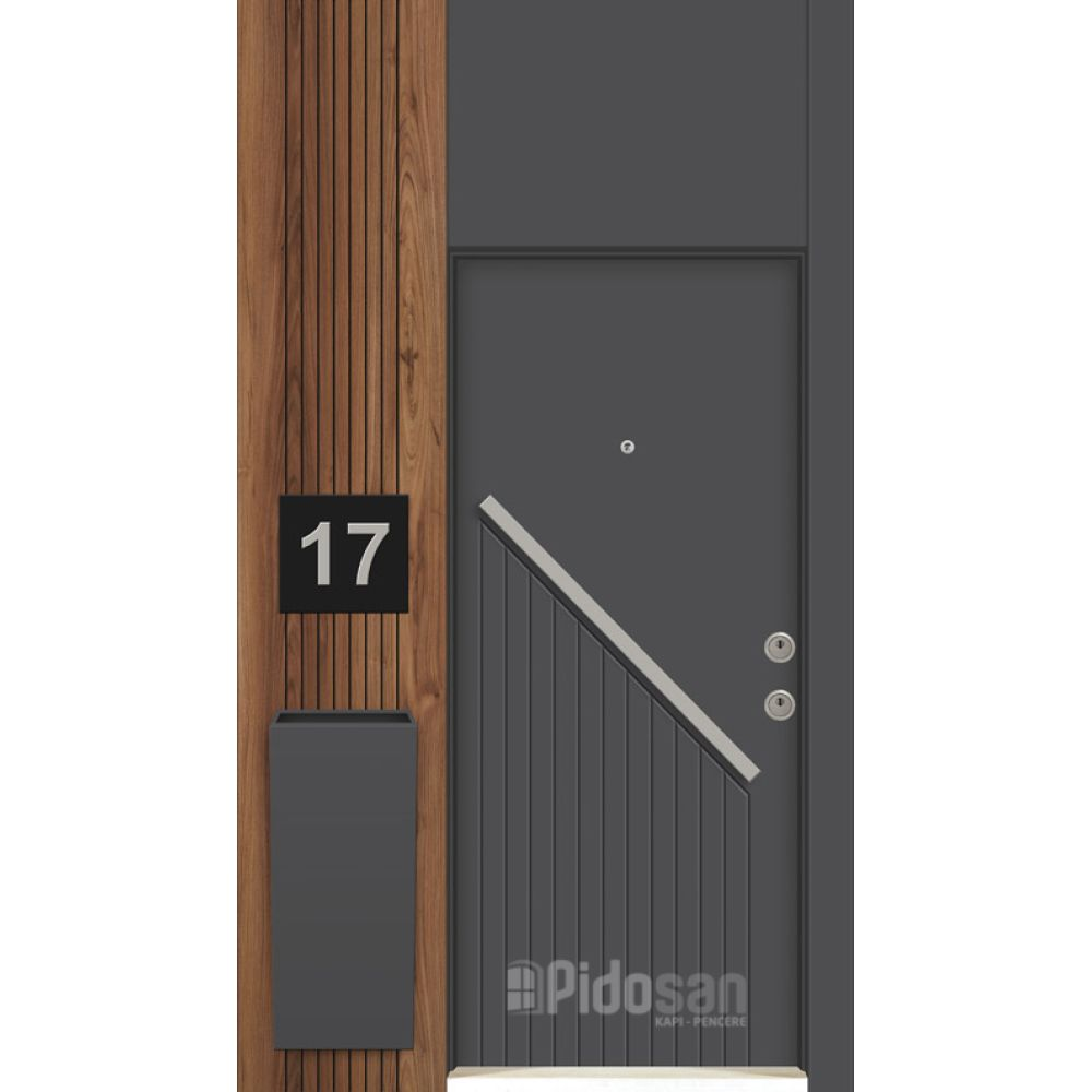 Steel Door