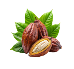 Cocoa Powder