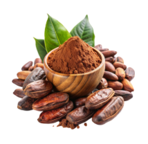 Cocoa Nibs