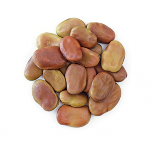 Legumes