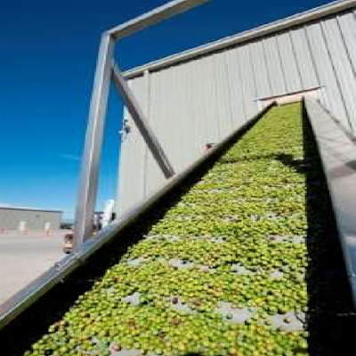 Oil-Resistant Conveyor Belts