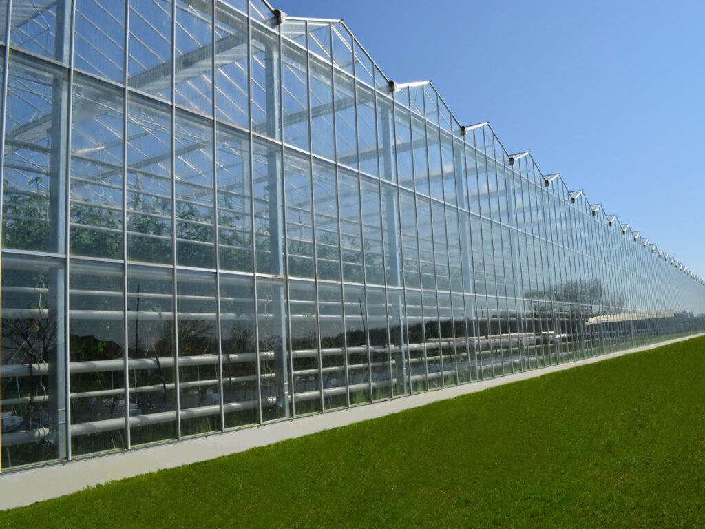 Glass Greenhouse